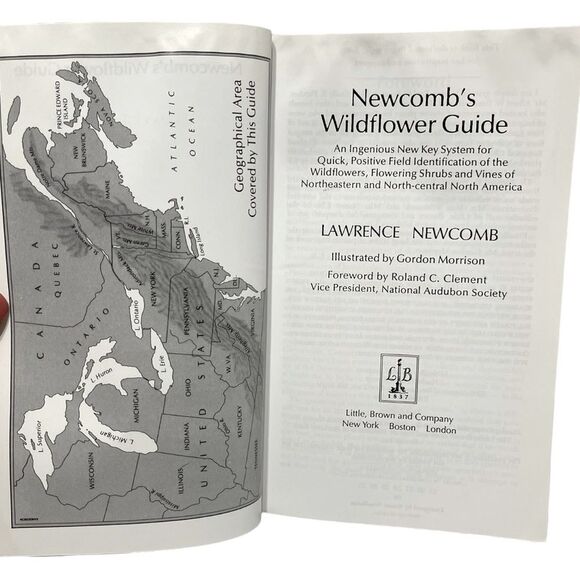 Book  Newcomb's Wildflower Guide - Picture 4 of 6